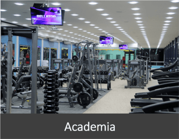 Academia